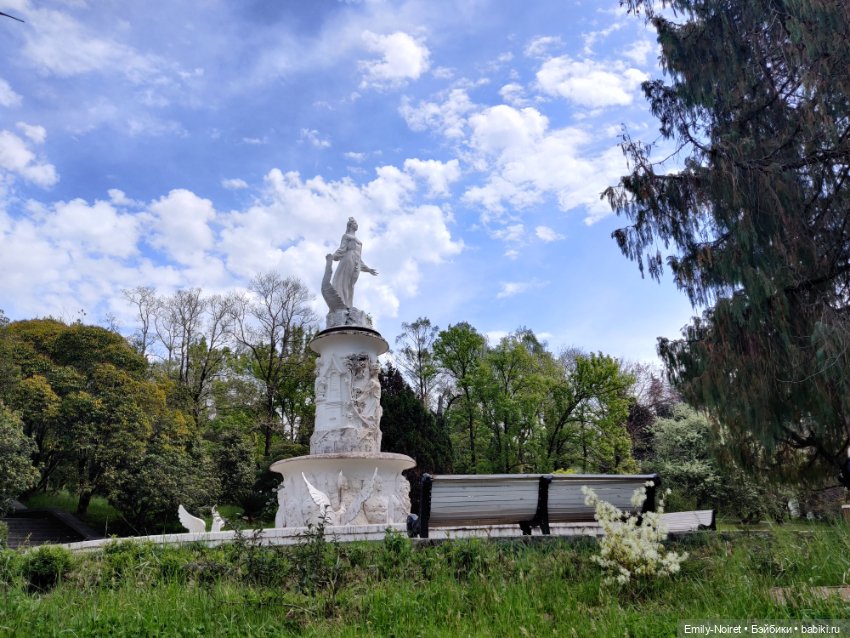 Сочи: Дендрарий — Туризм и путешествия: фотоотчеты из поездок