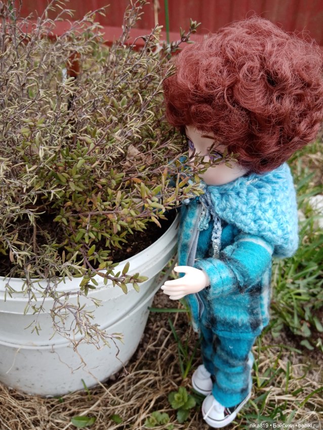 Посещение апрельского сада (фото 5)