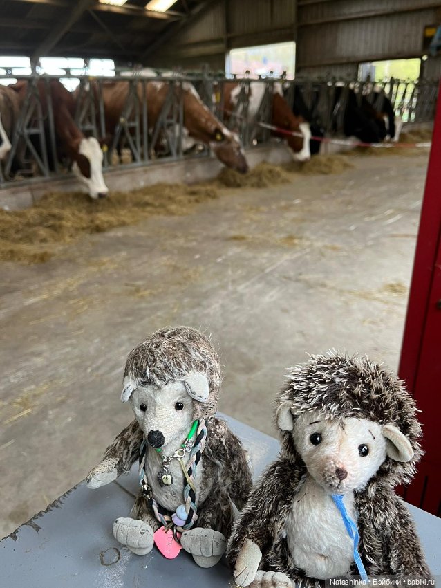 Fashion Dolls 496 — Туризм и путешествия: фотоотчеты из поездок