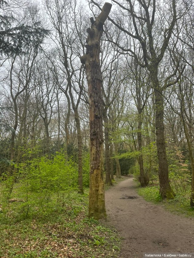 Fashion Dolls 496 — Туризм и путешествия: фотоотчеты из поездок