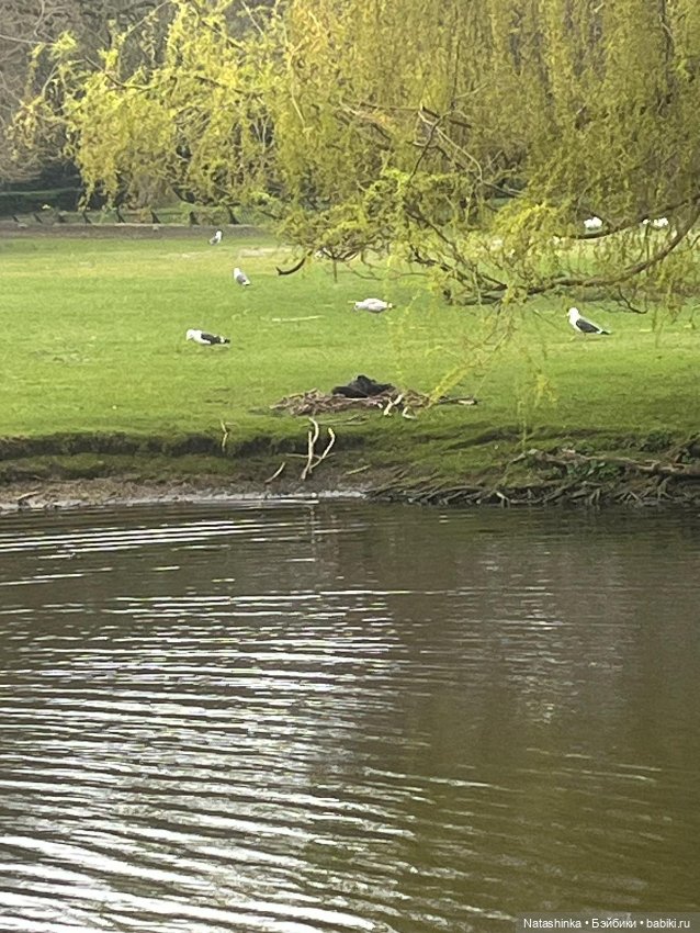 Fashion Dolls 496 — Туризм и путешествия: фотоотчеты из поездок (фото 6)