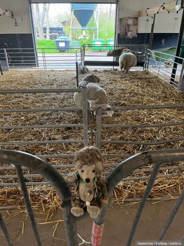 Fashion Dolls 496 — Туризм и путешествия: фотоотчеты из поездок