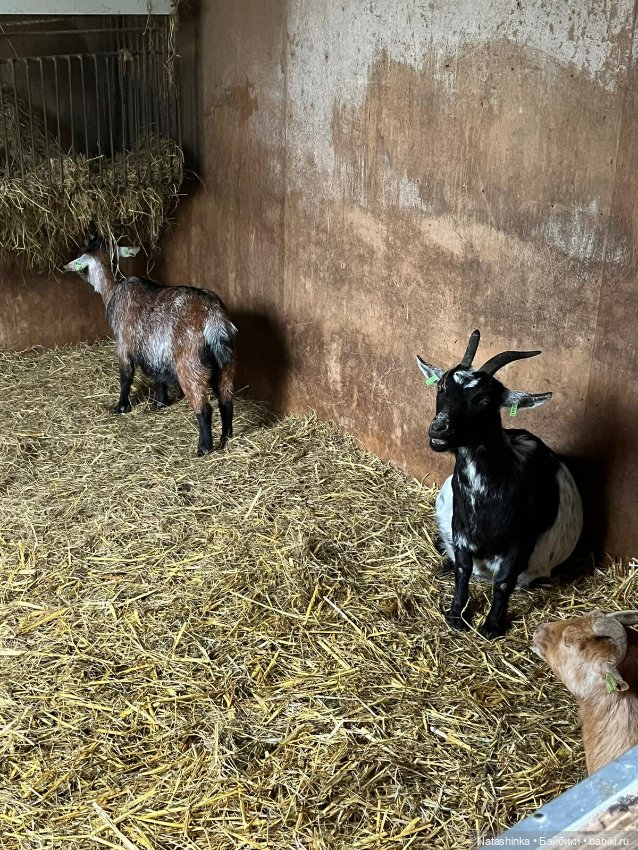 Fashion Dolls 496 — Туризм и путешествия: фотоотчеты из поездок