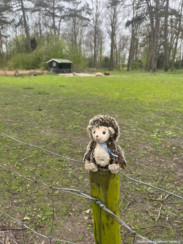 Fashion Dolls 496 — Туризм и путешествия: фотоотчеты из поездок