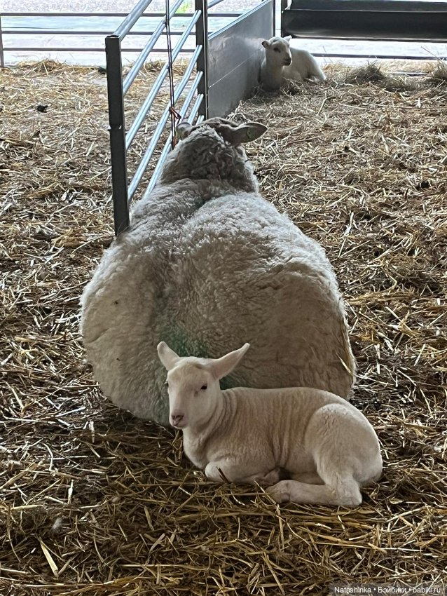 Fashion Dolls 496 — Туризм и путешествия: фотоотчеты из поездок