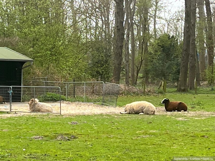 Fashion Dolls 496 — Туризм и путешествия: фотоотчеты из поездок