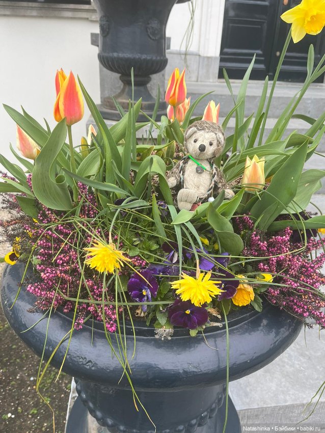 Fashion Dolls 496 — Туризм и путешествия: фотоотчеты из поездок (фото 10)