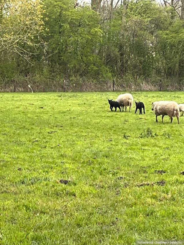 Fashion Dolls 496 — Туризм и путешествия: фотоотчеты из поездок