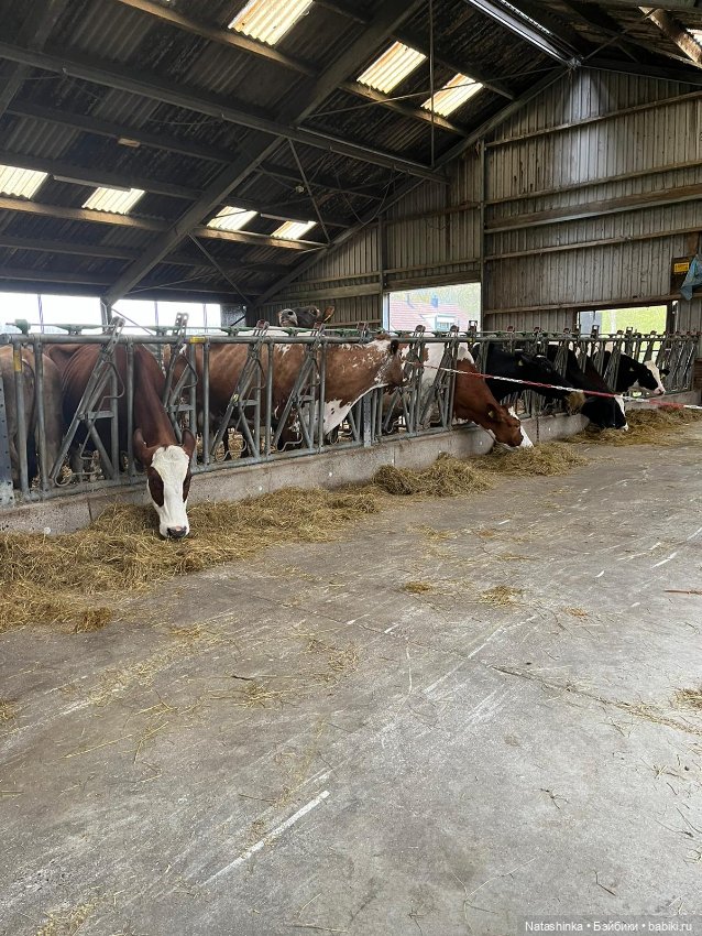 Fashion Dolls 496 — Туризм и путешествия: фотоотчеты из поездок