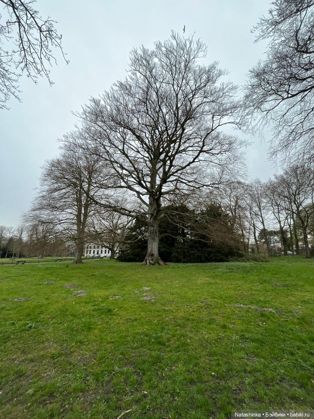 Fashion Dolls 496 — Туризм и путешествия: фотоотчеты из поездок (фото 7)