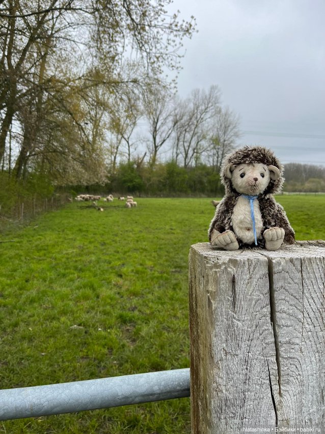 Fashion Dolls 496 — Туризм и путешествия: фотоотчеты из поездок