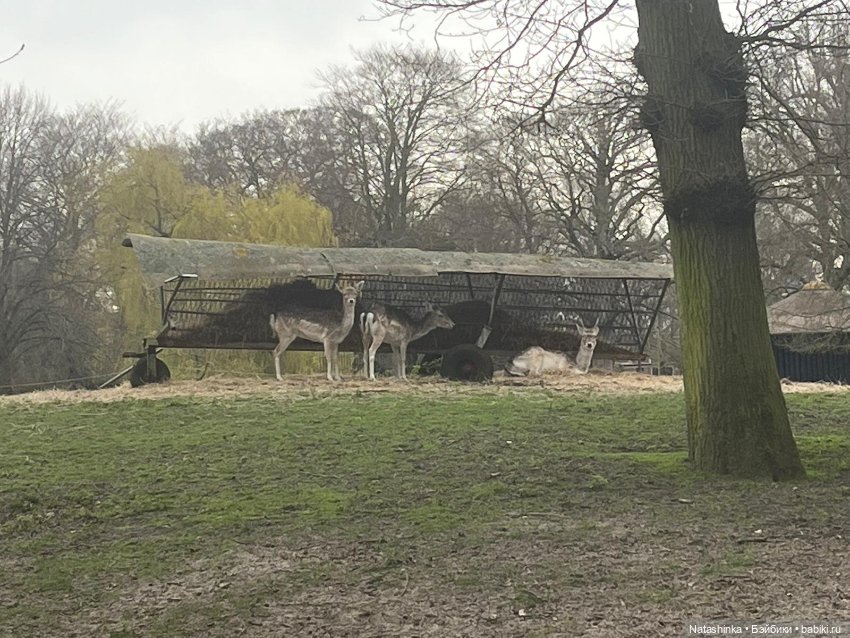 Fashion Dolls 496 — Туризм и путешествия: фотоотчеты из поездок (фото 4)