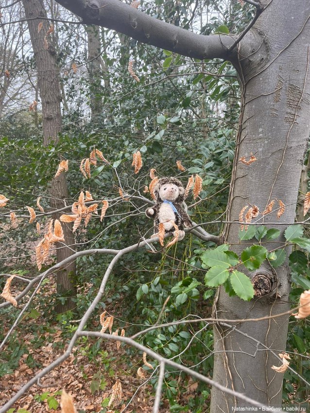 Fashion Dolls 496 — Туризм и путешествия: фотоотчеты из поездок (фото 2)