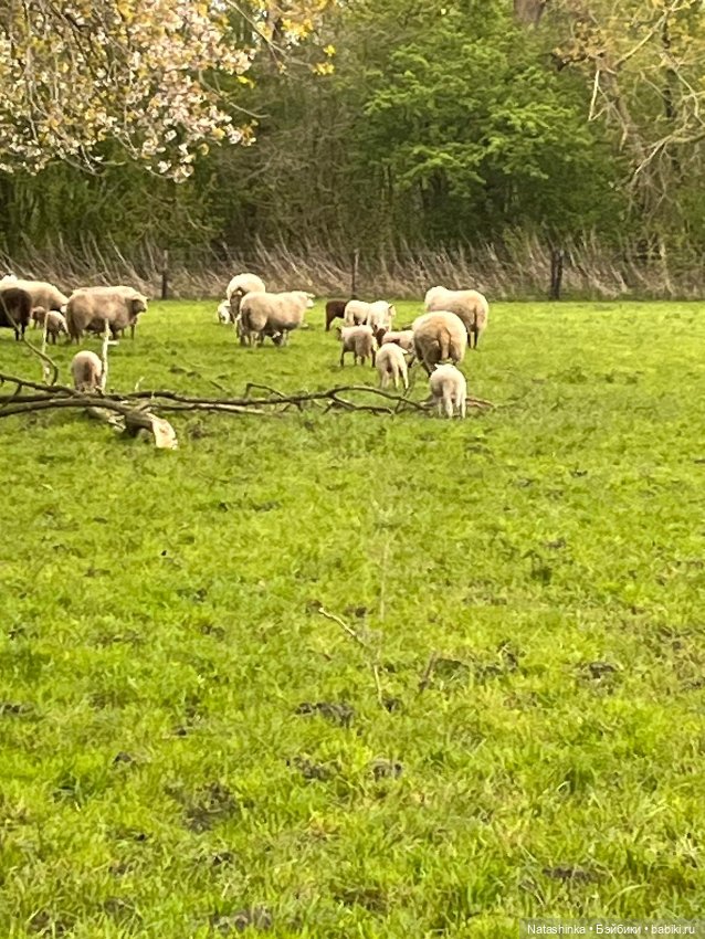 Fashion Dolls 496 — Туризм и путешествия: фотоотчеты из поездок