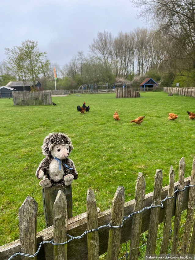 Fashion Dolls 496 — Туризм и путешествия: фотоотчеты из поездок