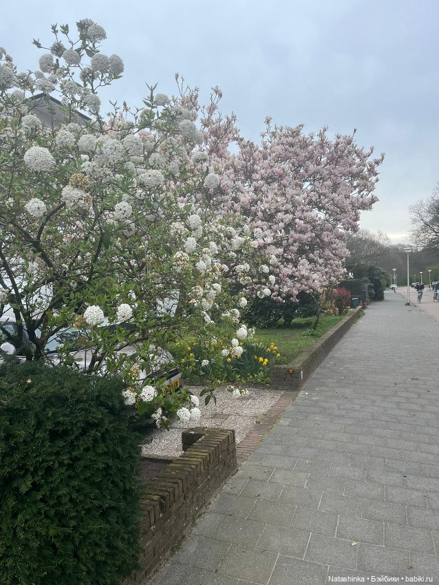 Fashion Dolls 496 — Туризм и путешествия: фотоотчеты из поездок (фото 3)