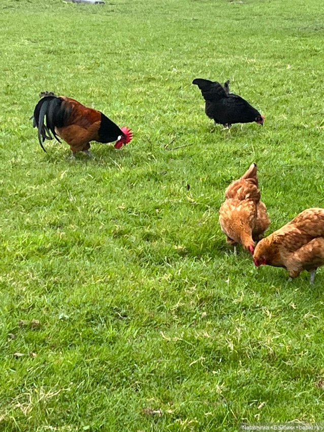 Fashion Dolls 496 — Туризм и путешествия: фотоотчеты из поездок