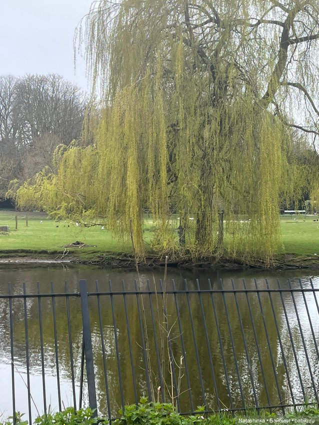 Fashion Dolls 496 — Туризм и путешествия: фотоотчеты из поездок (фото 8)