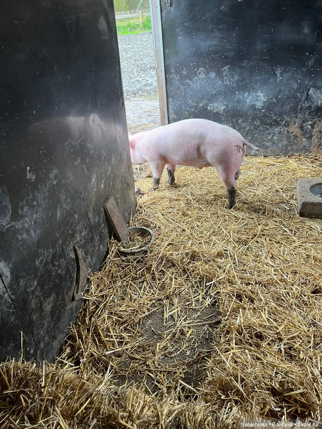 Fashion Dolls 496 — Туризм и путешествия: фотоотчеты из поездок