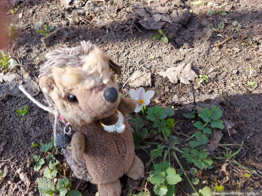 Fashion Dolls 496 — Туризм и путешествия: фотоотчеты из поездок