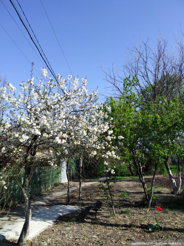 Абинск — Туризм и путешествия: фотоотчеты из поездок (фото 10)