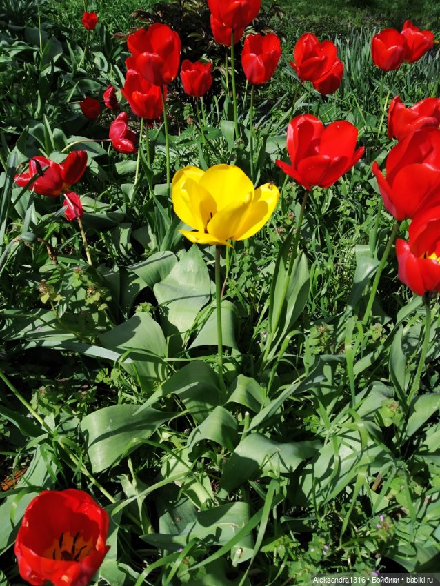 Абинск — Туризм и путешествия: фотоотчеты из поездок