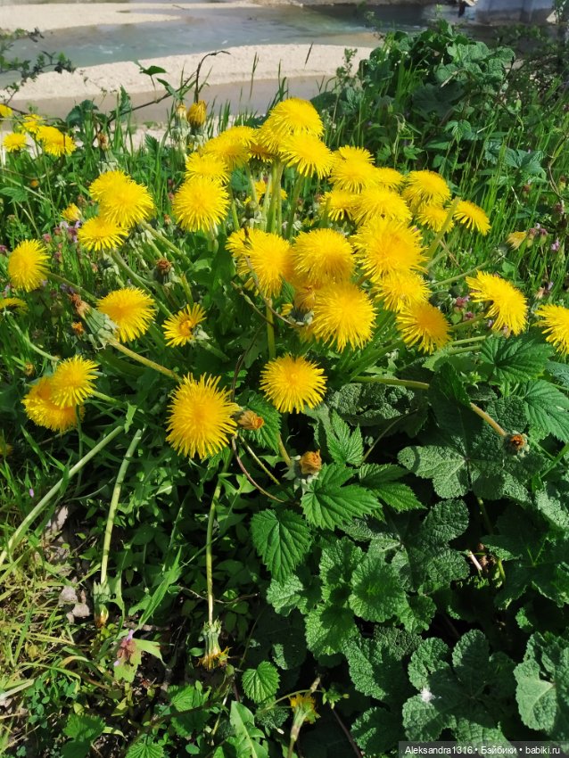 Абинск — Туризм и путешествия: фотоотчеты из поездок