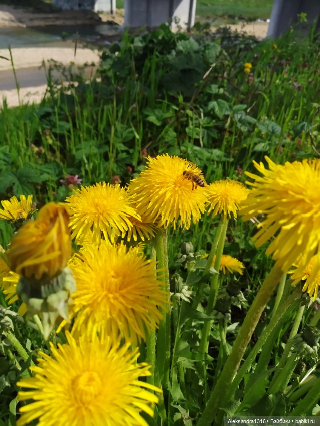 Абинск — Туризм и путешествия: фотоотчеты из поездок