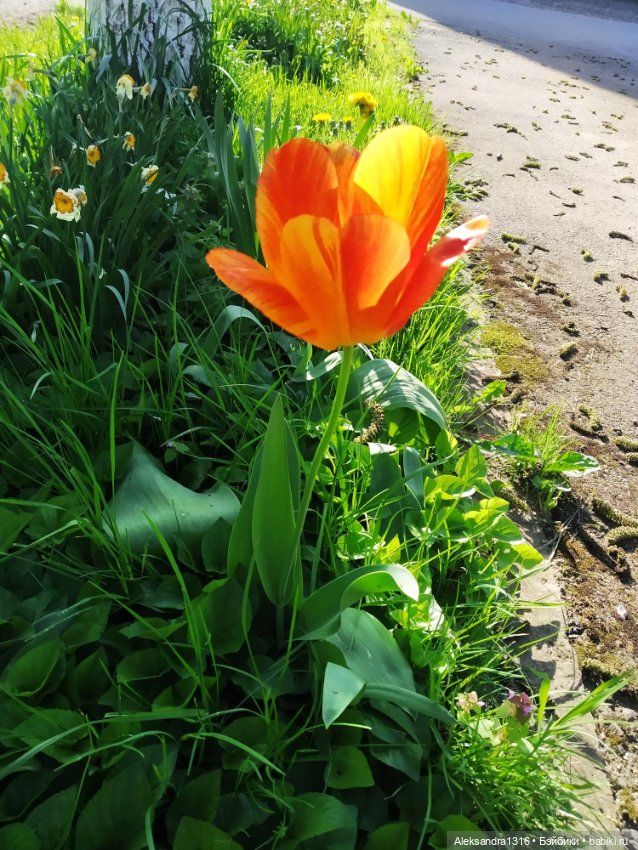 Абинск — Туризм и путешествия: фотоотчеты из поездок