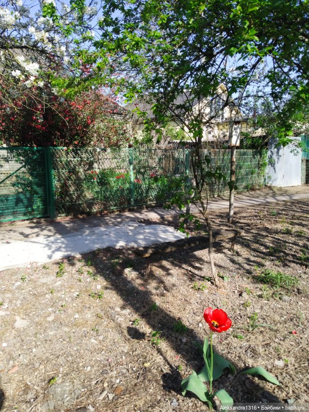 Абинск — Туризм и путешествия: фотоотчеты из поездок (фото 6)