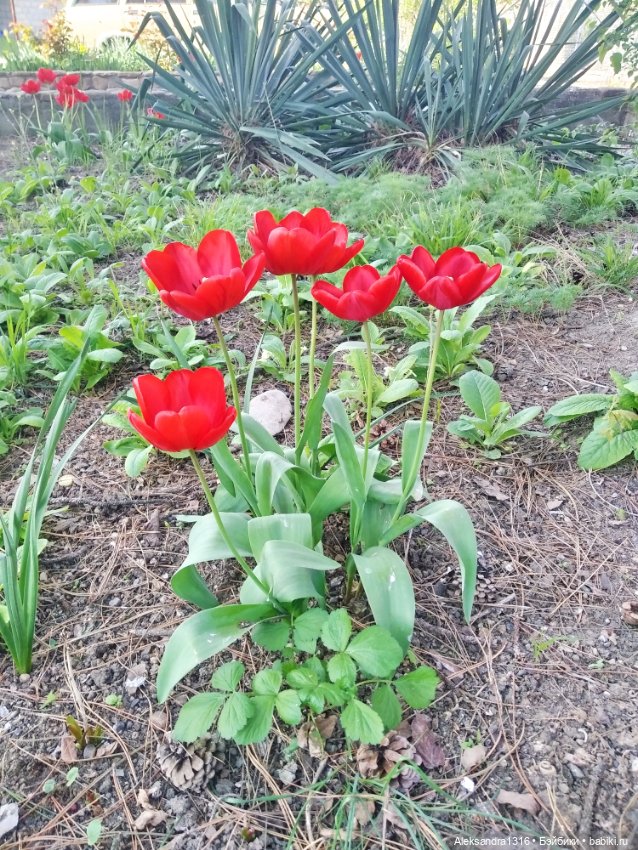 Абинск — Туризм и путешествия: фотоотчеты из поездок