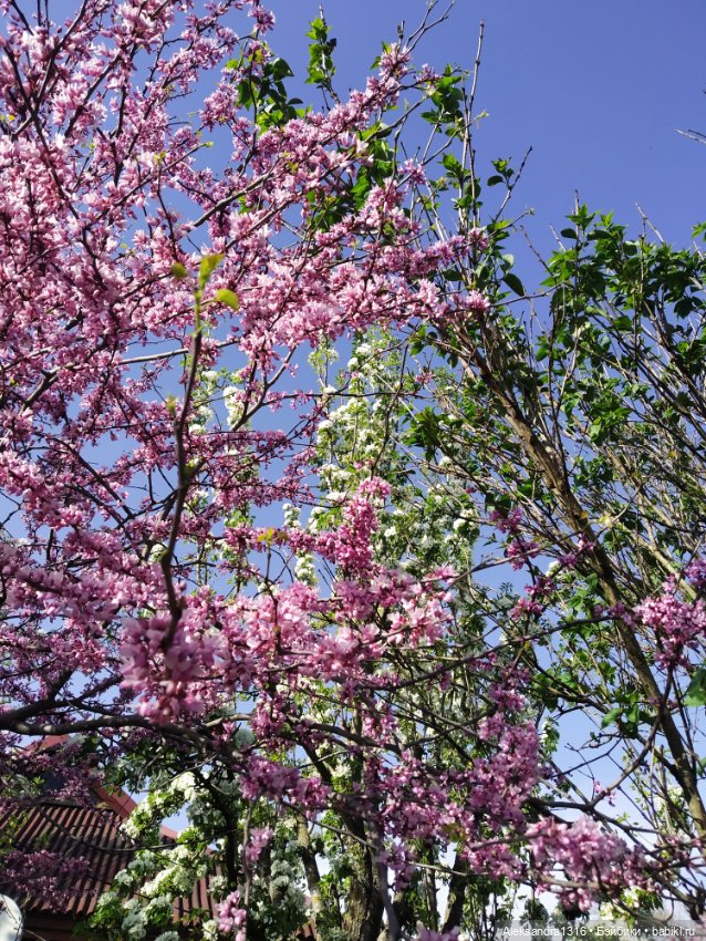 Абинск — Туризм и путешествия: фотоотчеты из поездок