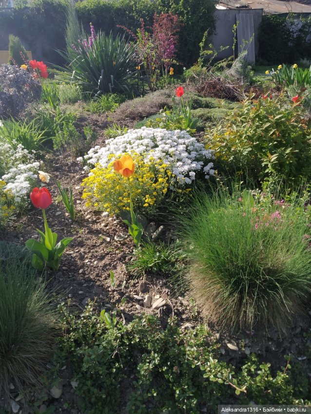 Абинск — Туризм и путешествия: фотоотчеты из поездок (фото 3)