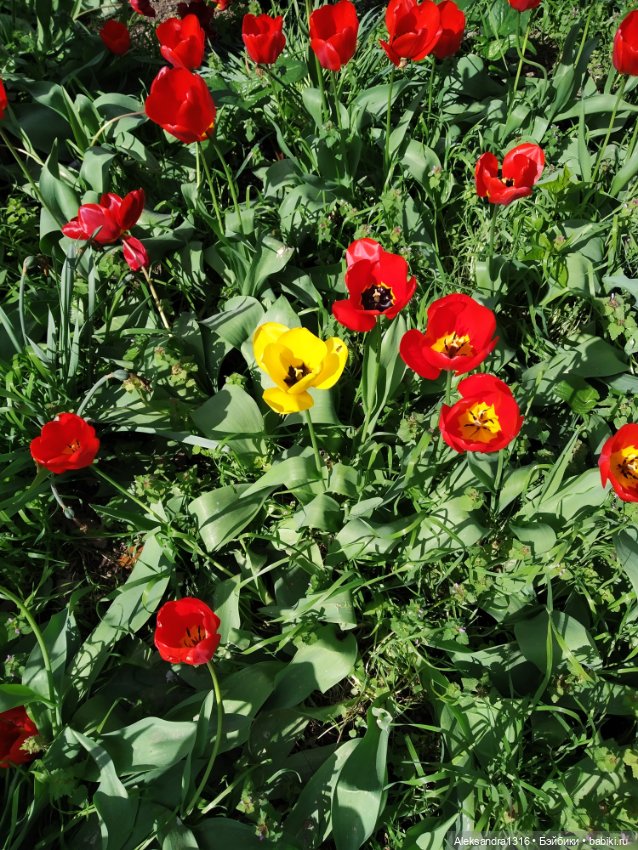 Абинск — Туризм и путешествия: фотоотчеты из поездок