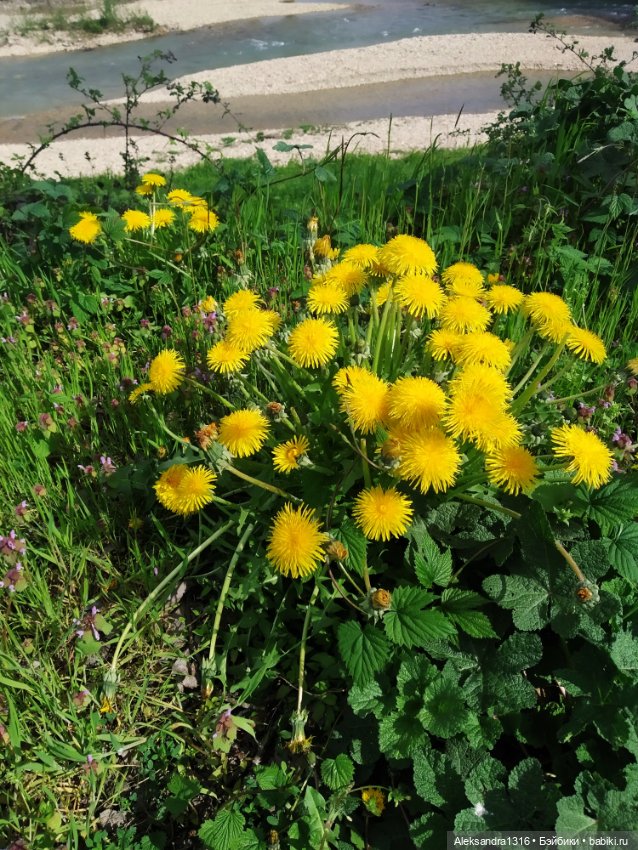 Абинск — Туризм и путешествия: фотоотчеты из поездок