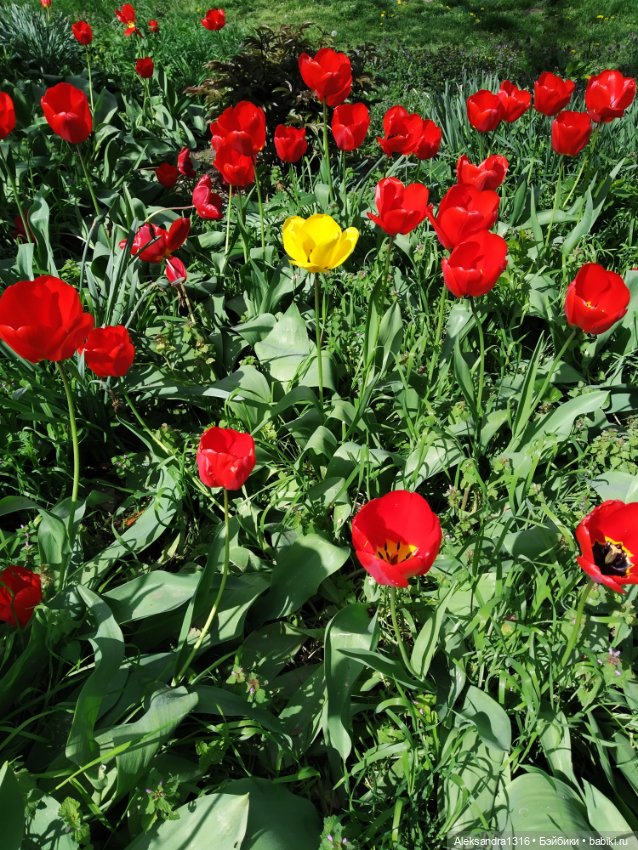 Абинск — Туризм и путешествия: фотоотчеты из поездок