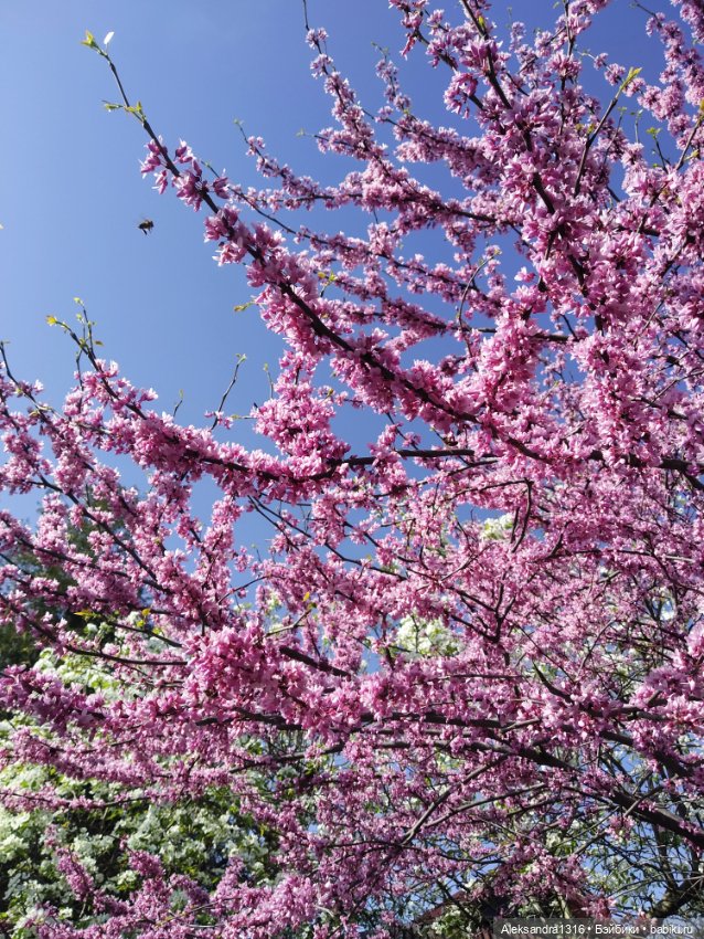 Абинск — Туризм и путешествия: фотоотчеты из поездок