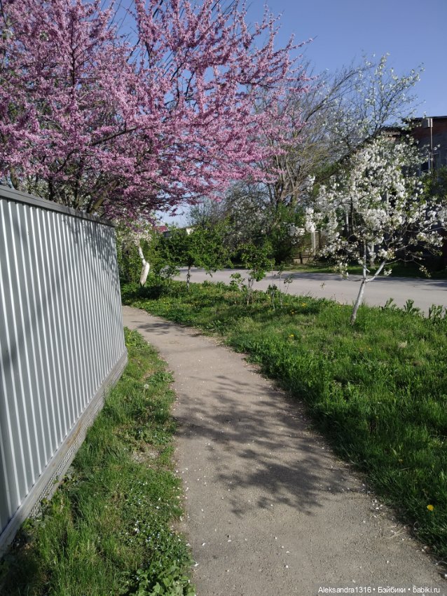 Абинск — Туризм и путешествия: фотоотчеты из поездок