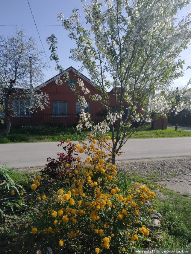 Абинск — Туризм и путешествия: фотоотчеты из поездок