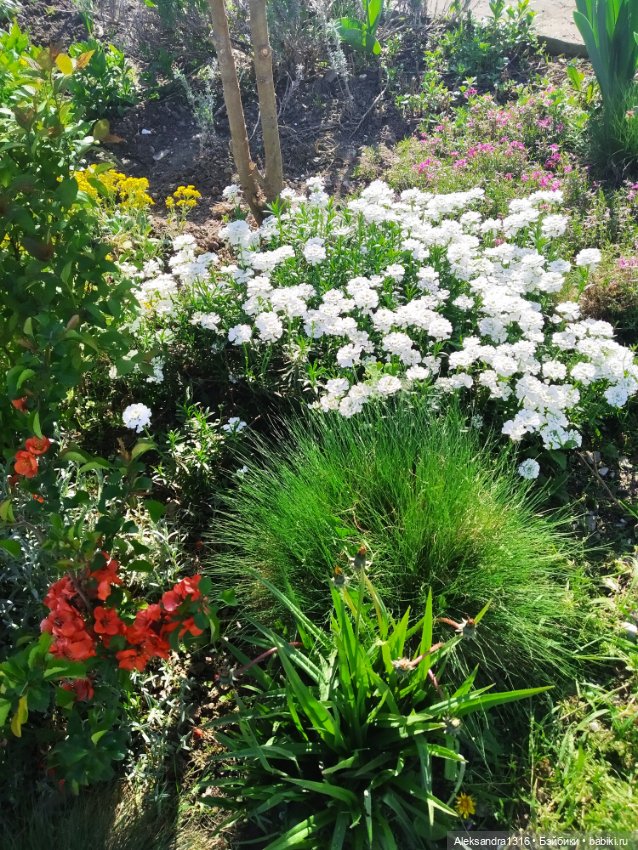 Абинск — Туризм и путешествия: фотоотчеты из поездок (фото 4)