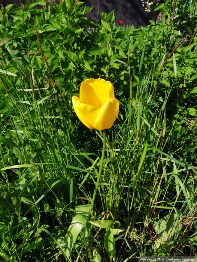 Абинск — Туризм и путешествия: фотоотчеты из поездок