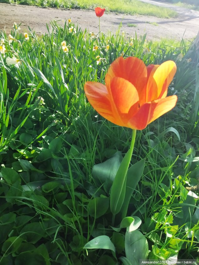 Абинск — Туризм и путешествия: фотоотчеты из поездок