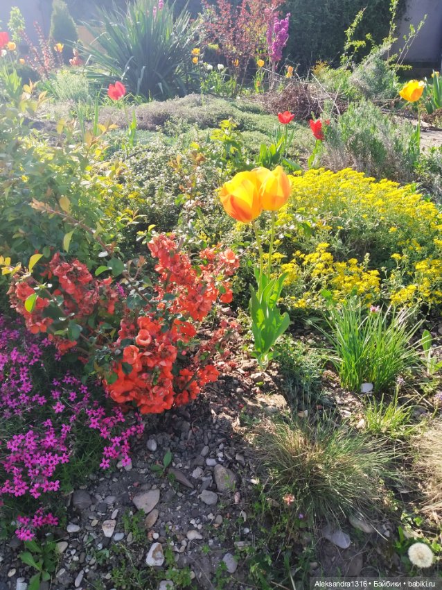 Абинск — Туризм и путешествия: фотоотчеты из поездок (фото 2)