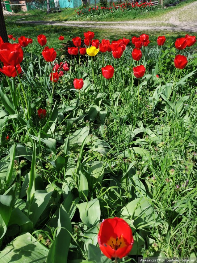 Абинск — Туризм и путешествия: фотоотчеты из поездок