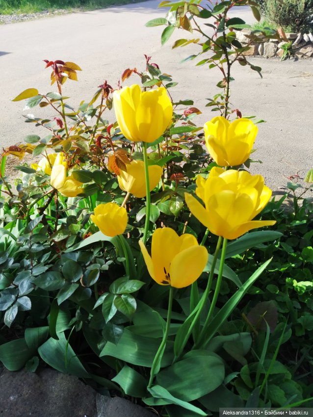 Абинск — Туризм и путешествия: фотоотчеты из поездок