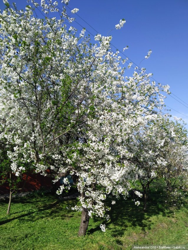 Абинск — Туризм и путешествия: фотоотчеты из поездок