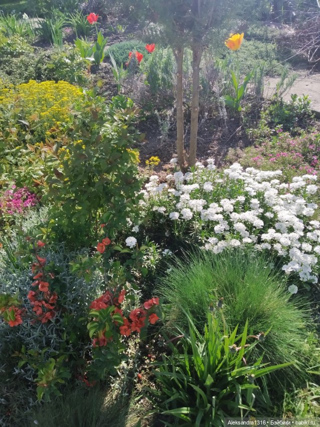 Абинск — Туризм и путешествия: фотоотчеты из поездок (фото 7)