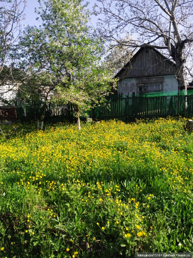 Абинск — Туризм и путешествия: фотоотчеты из поездок