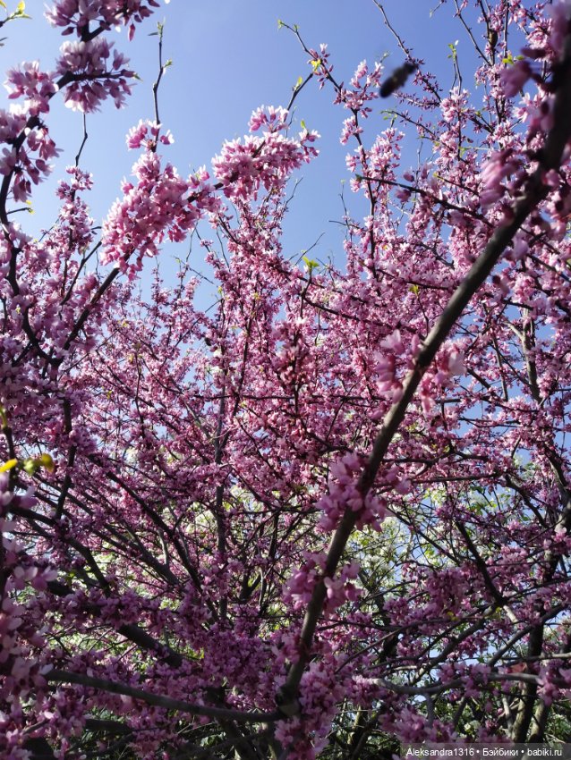 Абинск — Туризм и путешествия: фотоотчеты из поездок