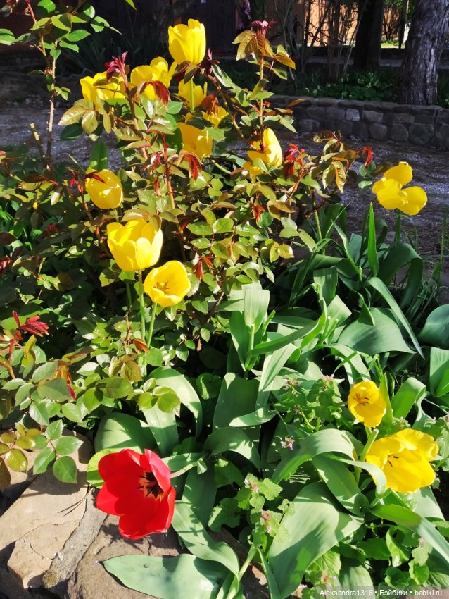 Абинск — Туризм и путешествия: фотоотчеты из поездок